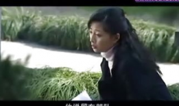 2009电视剧,经典之作回顾
