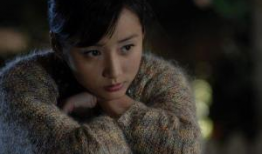 雪在烧电视剧,爱恨交织的复仇传奇