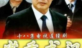 书记电视剧,权谋与担当的较量