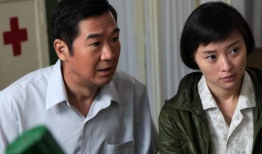 书记电视剧,权谋与担当的较量