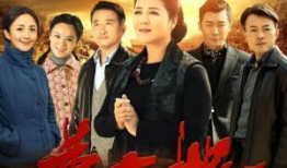 曹征主演的电视剧,演绎传奇人生，荧屏魅力无限