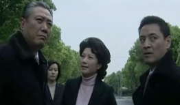 书记电视剧,权谋与担当的较量