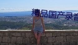 精品国产录音有声在线,探索精品国产录音的在线魅力