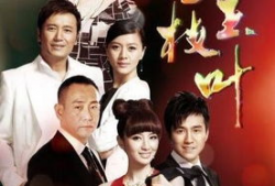 金枝玉叶电视剧演员表