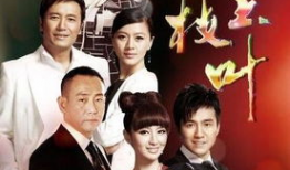 金枝玉叶电视剧演员表