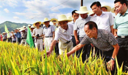 吃瓜爆料袁隆平视频全集,揭秘农业巨擘的智慧人生与科研历程