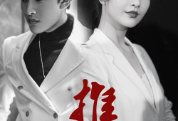 电视剧推手演员表,实力派明星齐聚一堂，演绎人生百态