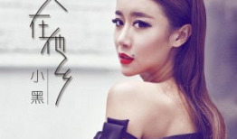 电视剧女人进城,梦想与现实的交织