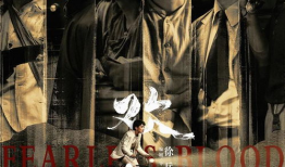 大型谍战电视剧,揭秘谍影重重背后的生死较量