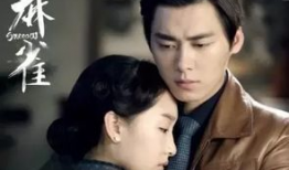 国产好看的电视剧,精彩纷呈，引人入胜的电视剧盛宴